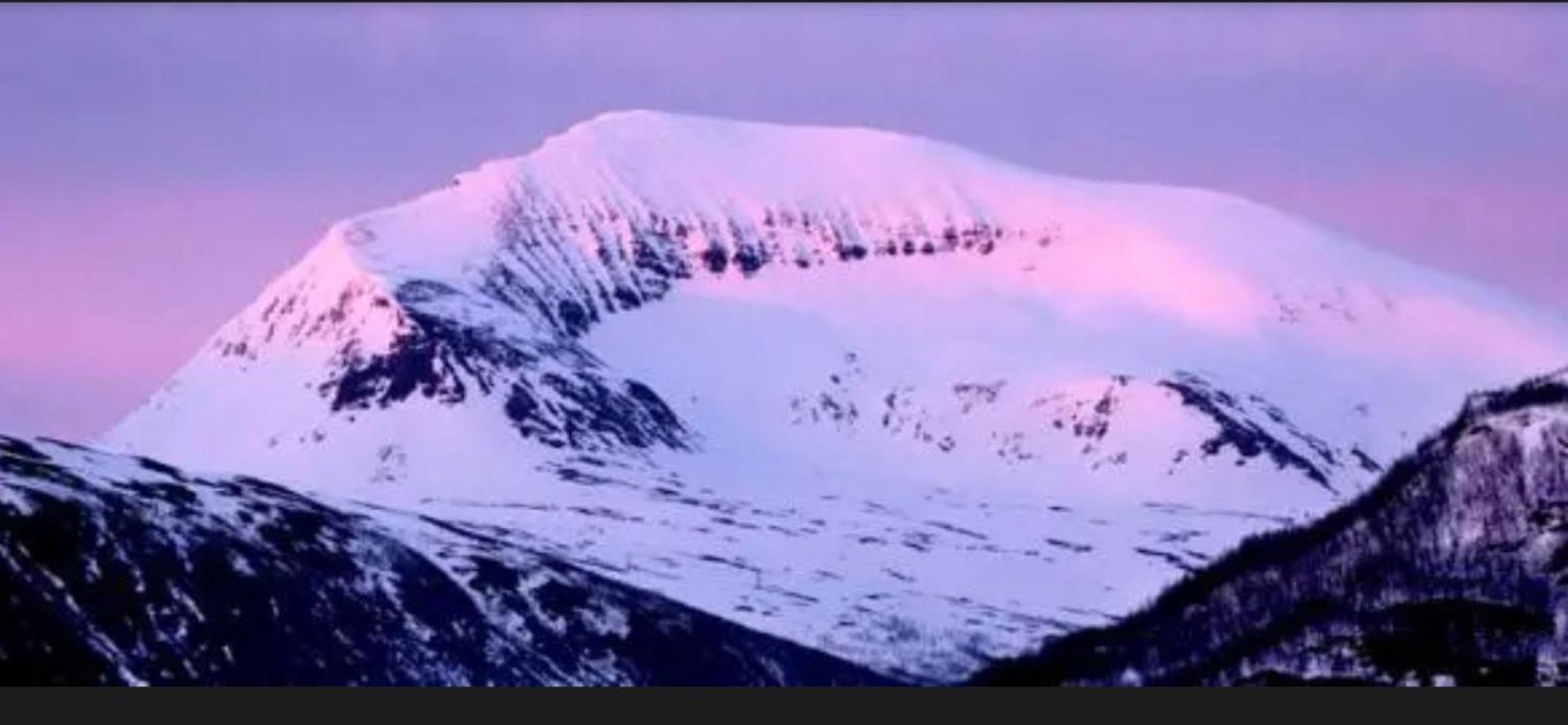 Arctic Escape In Appartamento Tromsø